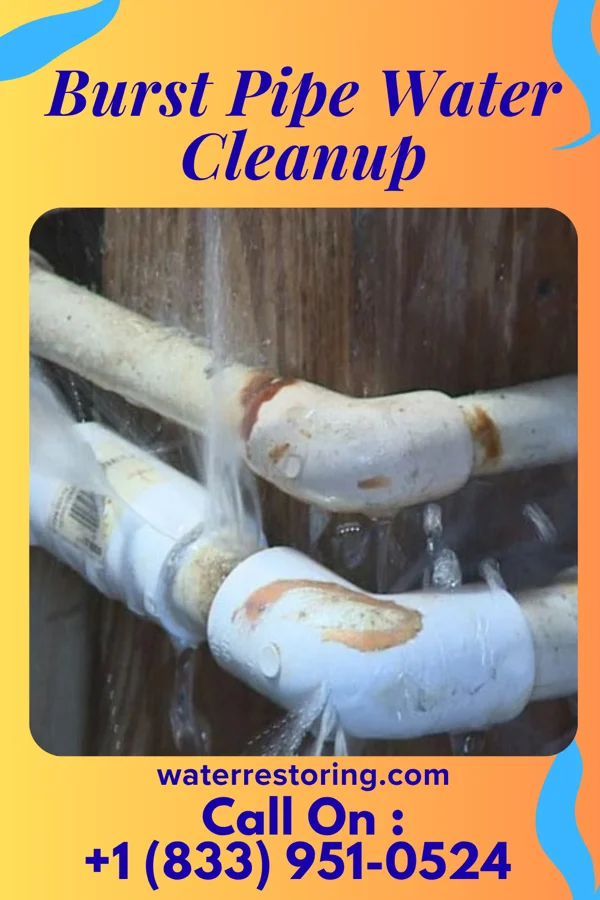 Burst Pipe Water Cleanup in Camdenton, MO